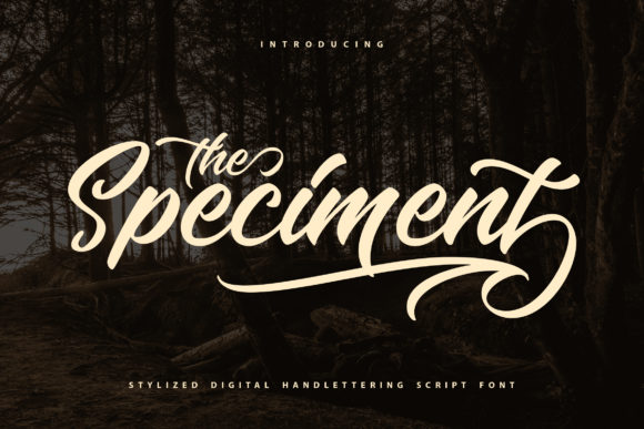 The Speciment: A Handwritten Typeface for Editorial Soul