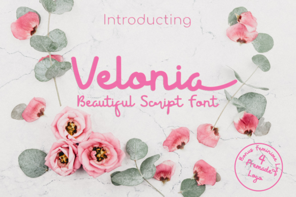 Velonia: A Handwritten Font for Digital Design
